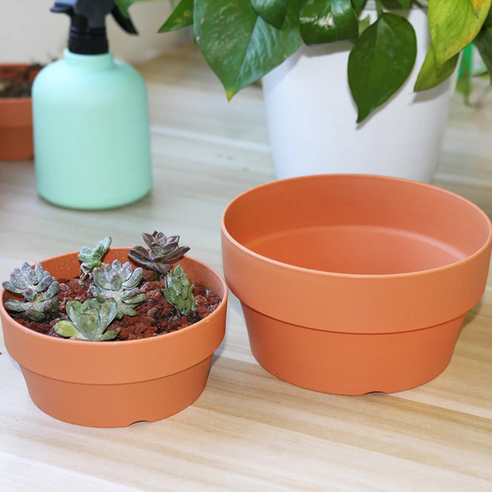 Succulent Flower Pot Mini Potted Plants Planters Office Decoration Garden Home Accessories EL