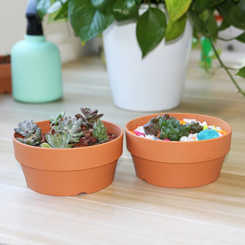Succulent Flower Pot Mini Potted Plants Planters Office Decoration Garden Home Accessories EL