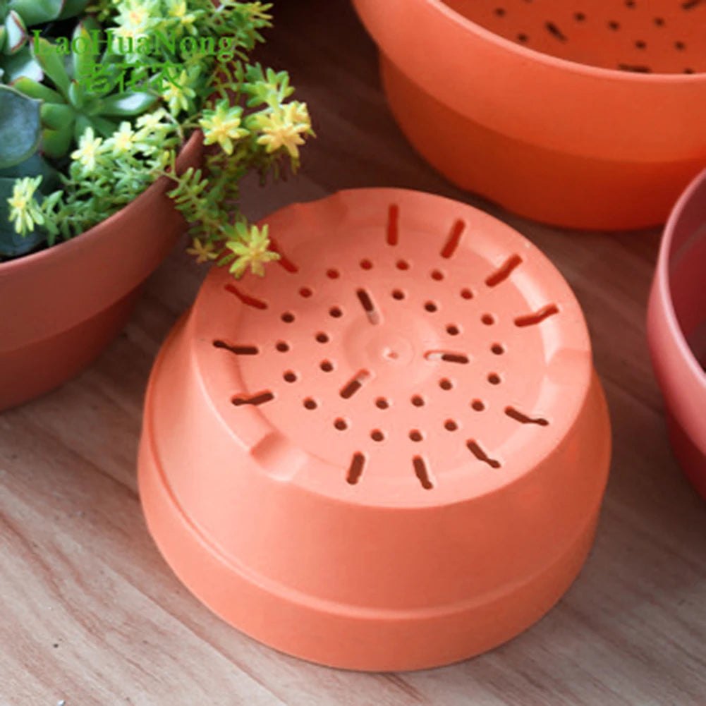 Succulent Flower Pot Mini Potted Plants Planters Office Decoration Garden Home Accessories EL