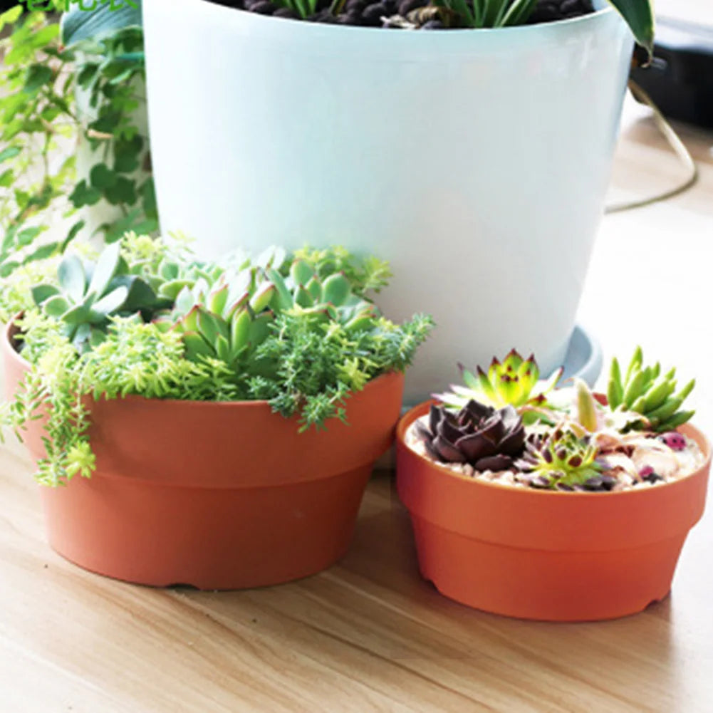 Succulent Flower Pot Mini Potted Plants Planters Office Decoration Garden Home Accessories EL